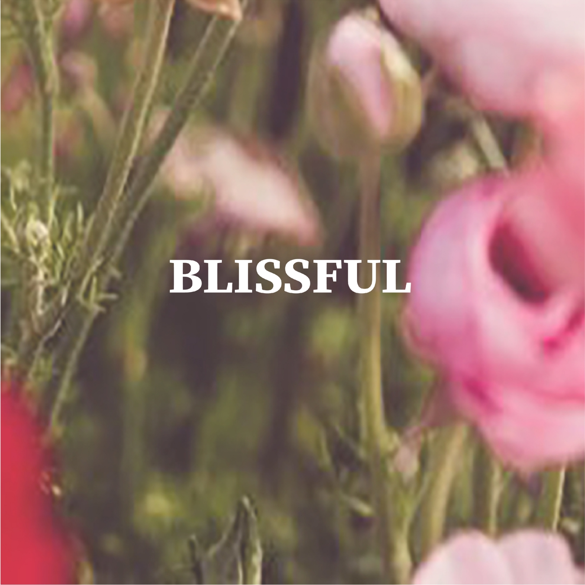 "JA-ROEN" Spiritual Perfume - Image 3